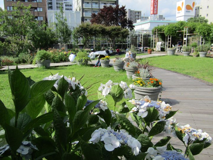#5018 花とみどりの情報センターの6月19日以降の開館について