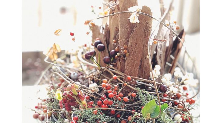 #5866 ~終了しました~12/9木の実とユーカリの樹皮でつくるクリスマス飾り