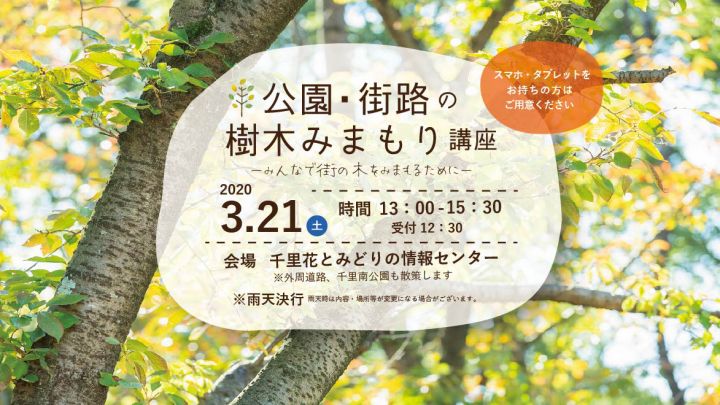 #7806 【開催延期します】公園・街路の樹木みまもり講座≪すいた街の木プロジェクト≫