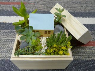 ※写真はイメージです。実際の植物・箱など材料は変わります。あらかじめご了承ください。