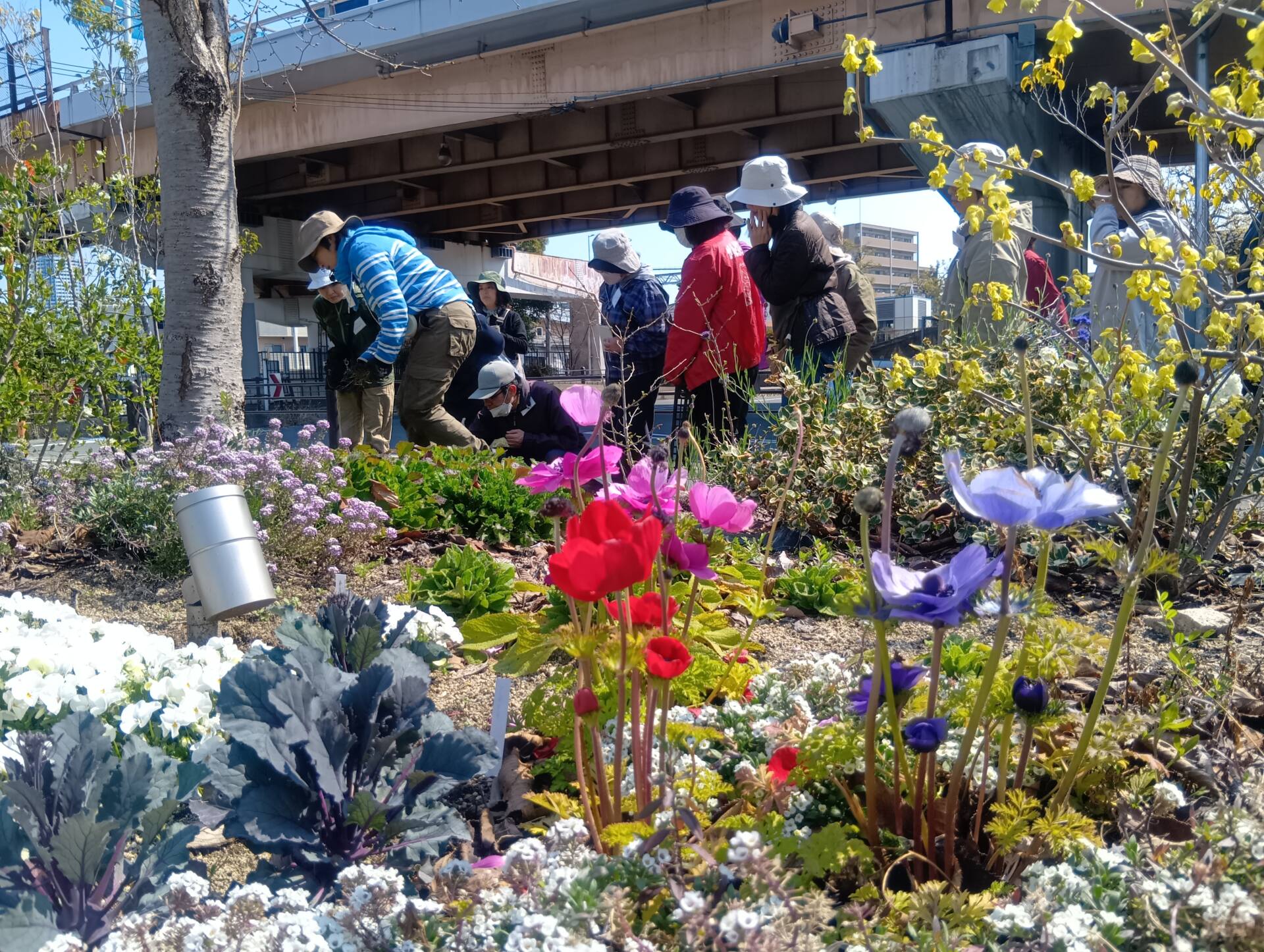 ガーデンセミナー2026@いずみの園公園