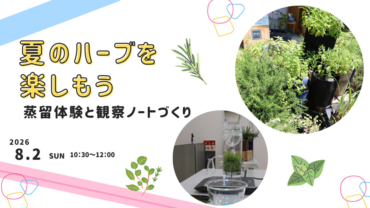 夏のハーブを楽しもう!【ハーブの蒸留体験と観察ノートづくり】
