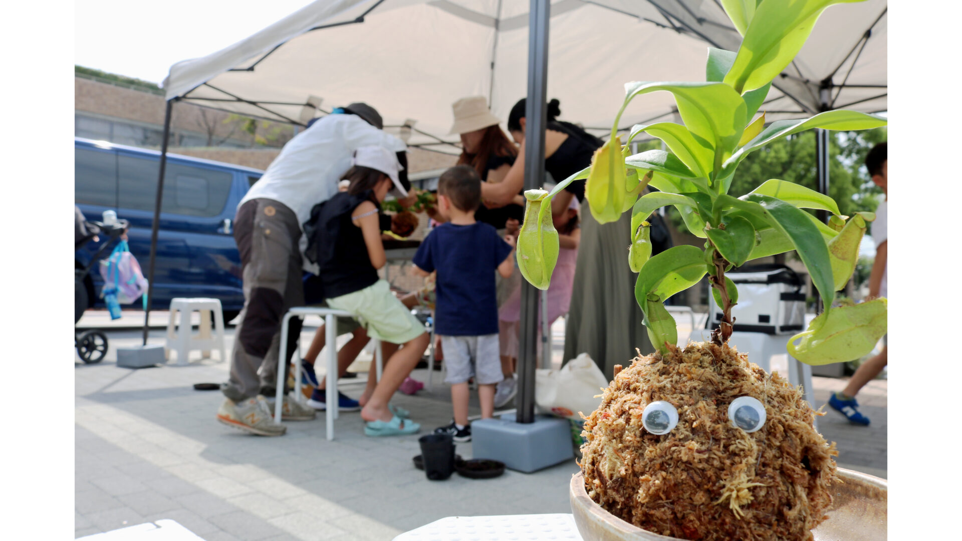 ＜7/8受付開始＞食虫植物の苔玉をつくろう