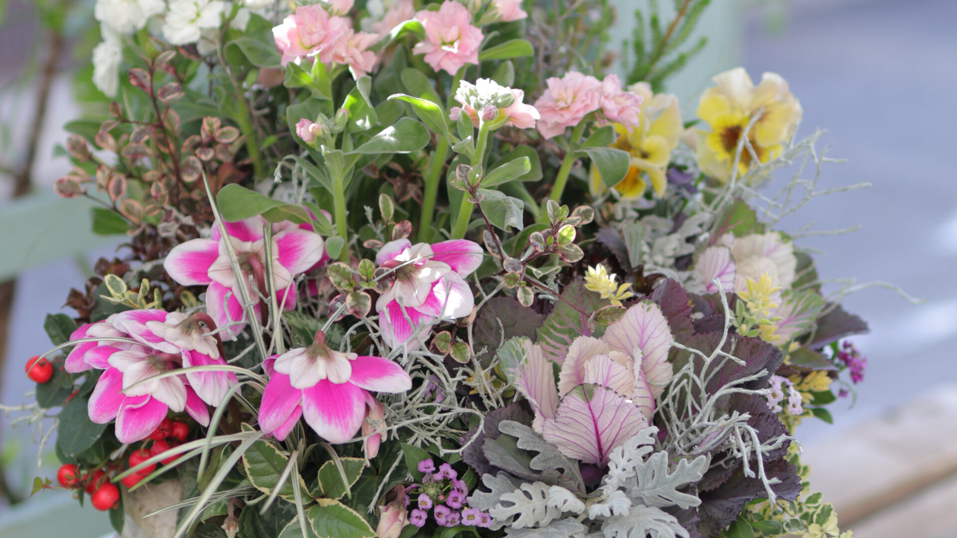 <11/19受付開始>【初級12月】寄せ植えギャザリング講習会2025