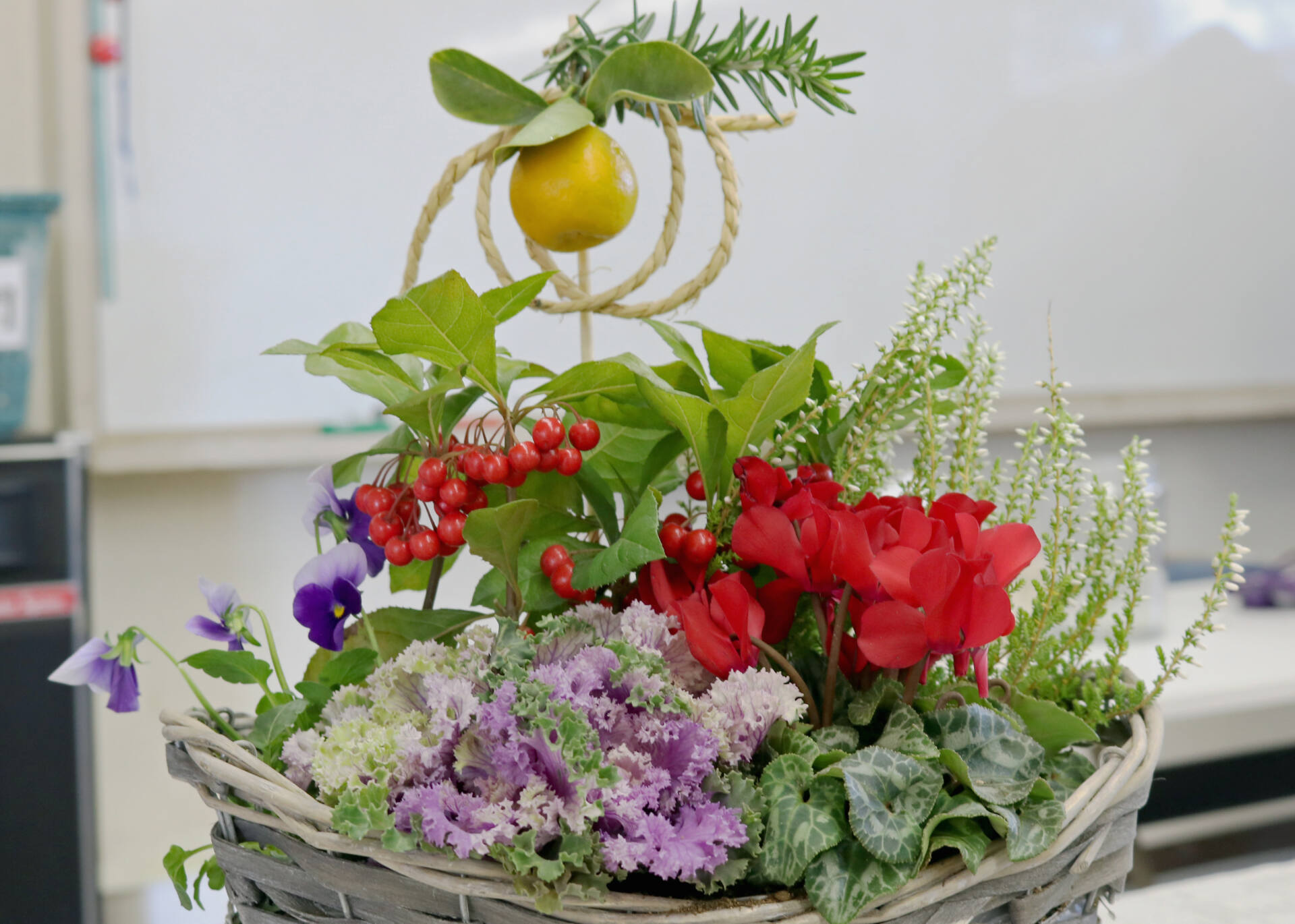 ＜キャンセル待ち受付中＞お正月を彩る寄せ植えづくり