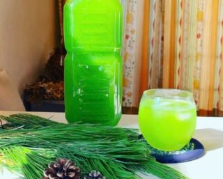 身近な草花・みんなのワークセラピー