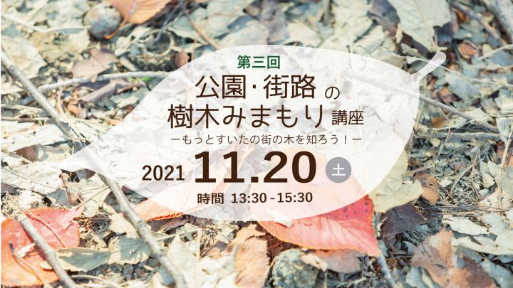 ＜終了しました＞第三回　公園・街路の樹木みまもり講座　≪すいた街の木プロジェクト≫