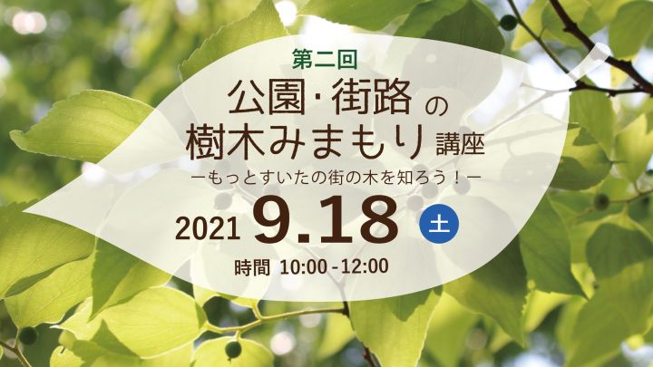 【終了しました】第二回　公園・街路の樹木みまもり講座　≪すいた街の木プロジェクト≫