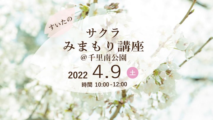 4月9日(土)開催：すいたのサクラみまもり講座