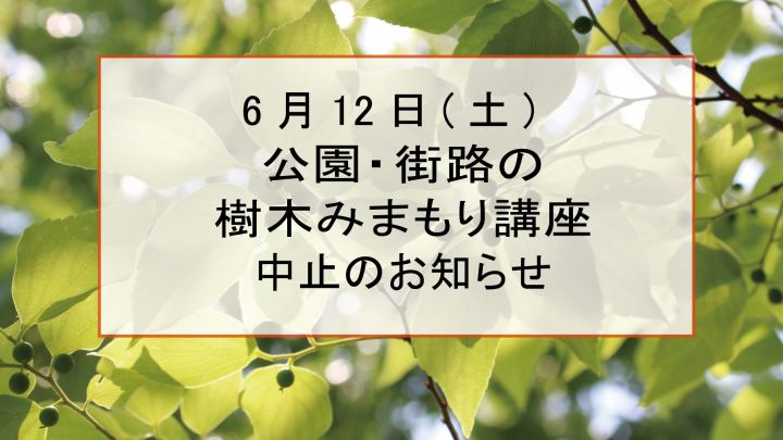 【開催中止のお知らせ】第二回　公園・街路の樹木みまもり講座　≪すいた街の木プロジェクト≫　