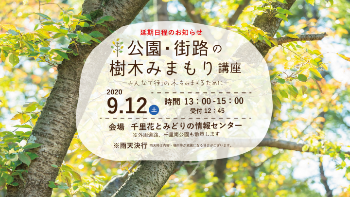 【終了しました】公園・街路の樹木みまもり講座≪すいた街の木プロジェクト≫　